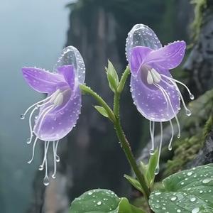 小吴同学在成长 头像