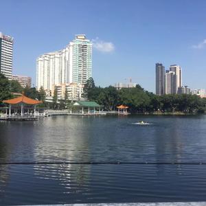 水杉之乡
