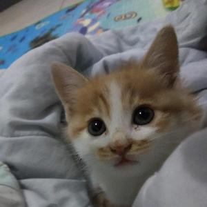 随心逐梦 头像