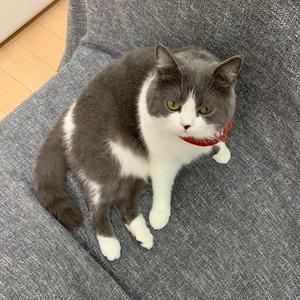 听吉米讲故事 头像