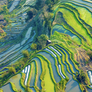 旅拍贵州头像