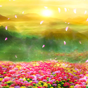 大野无疆平台 头像