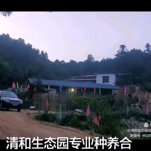 清和生态园（全生态） 头像