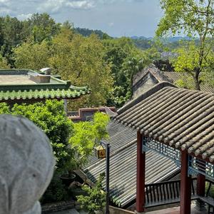 高档红茶买哪个牌子好？六大红茶品牌实力横评，产区风味一文看懂 - 今日头条