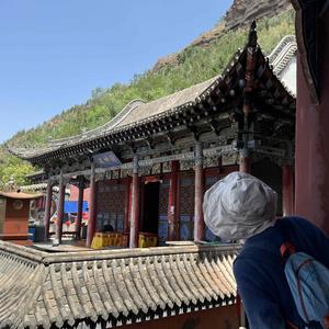 小意不晕车 头像