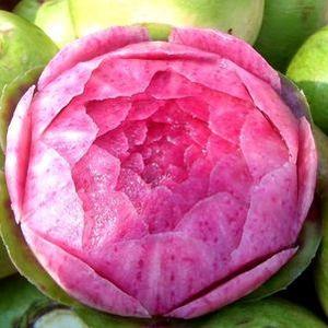 花心大萝卜 头像