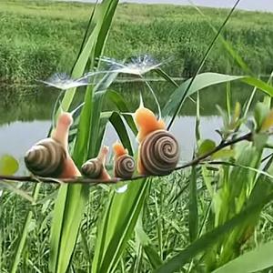 小胡记录故事和生活 头像