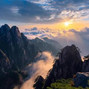 跨境发疯所 头像