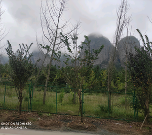 九月的天空可好 头像