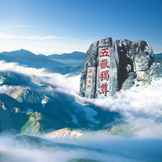 放马小子happy 头像