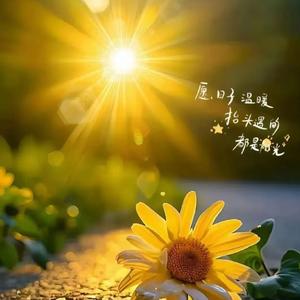 勇敢的霞姐 头像