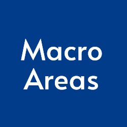 泓域MacroAreas 头像