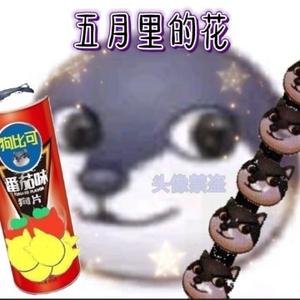 五月里的花 头像