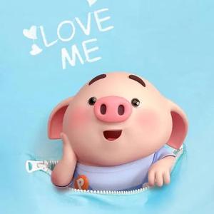 小猪碎碎念 头像