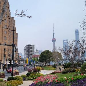 时间的朋友 头像