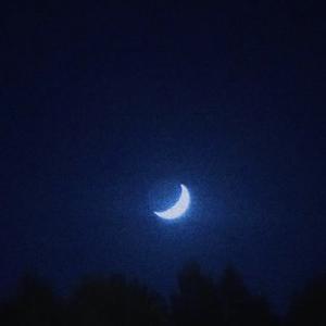 弥窝