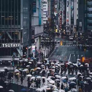 伴你读书的小书童 头像