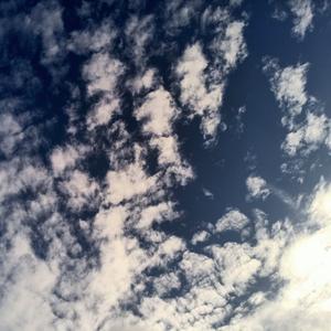 自信阳光小不点 头像