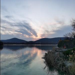 老年医学知识科普 头像