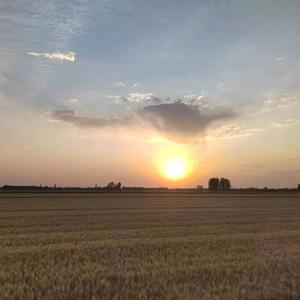 睿子文案馆 头像