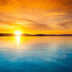 月下抚琴的雅君子 头像