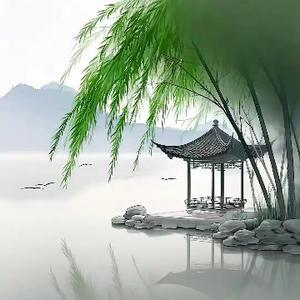 笨嘴老王唠家常 头像