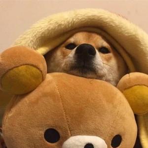 奋发有为天空ax 头像