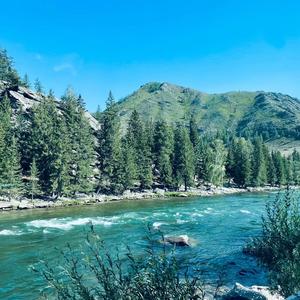 风姿卓越微风Dm 头像