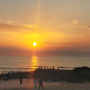 大笨熊生活分享 头像