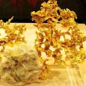 金银铜铅锌 头像