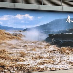 琚丝桐 头像