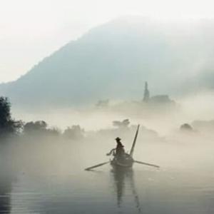 陈老师观察室 头像