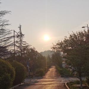 只记今朝