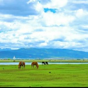 有国才有家yau 头像