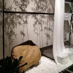 小二哥看人间 头像