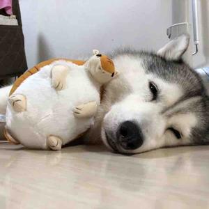 遇见另一个世界 头像