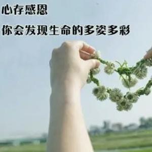 乐艺修专业家居维修头像