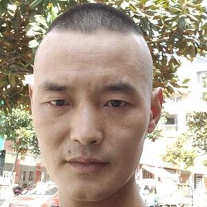 海上漂泊的鸟 头像
