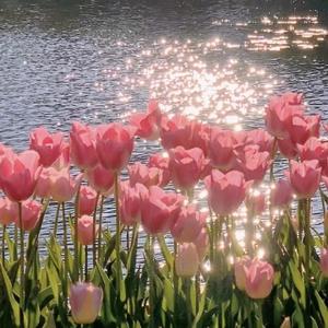 潇洒笑看人生L 头像