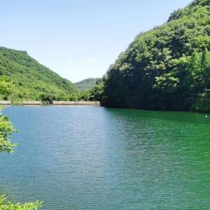 梅花数点