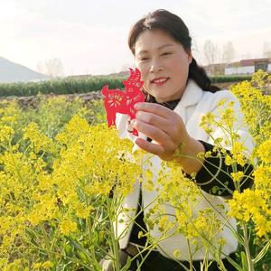 梅花手绘（剪纸） 头像