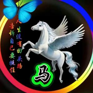 养聪（观必惠） 头像
