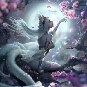 优雅画板SH 头像