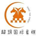 超玥国际象棋 头像