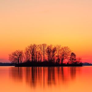 李文雨教授 头像