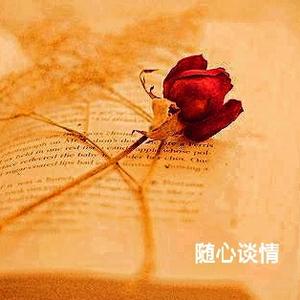 随心谈情 头像