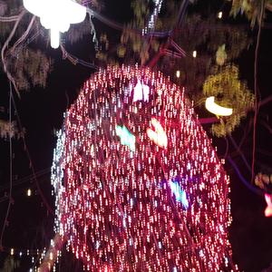 小月爱分享 头像