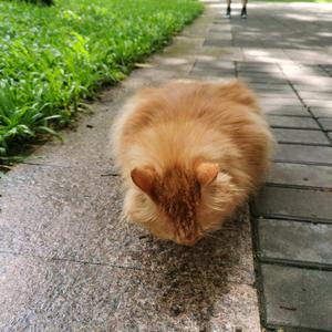 野生面壁者xxx 头像