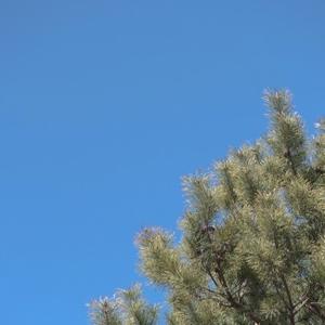 咸鱼书报亭 头像