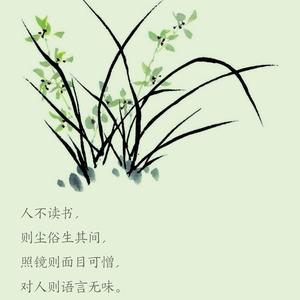 午柒 头像